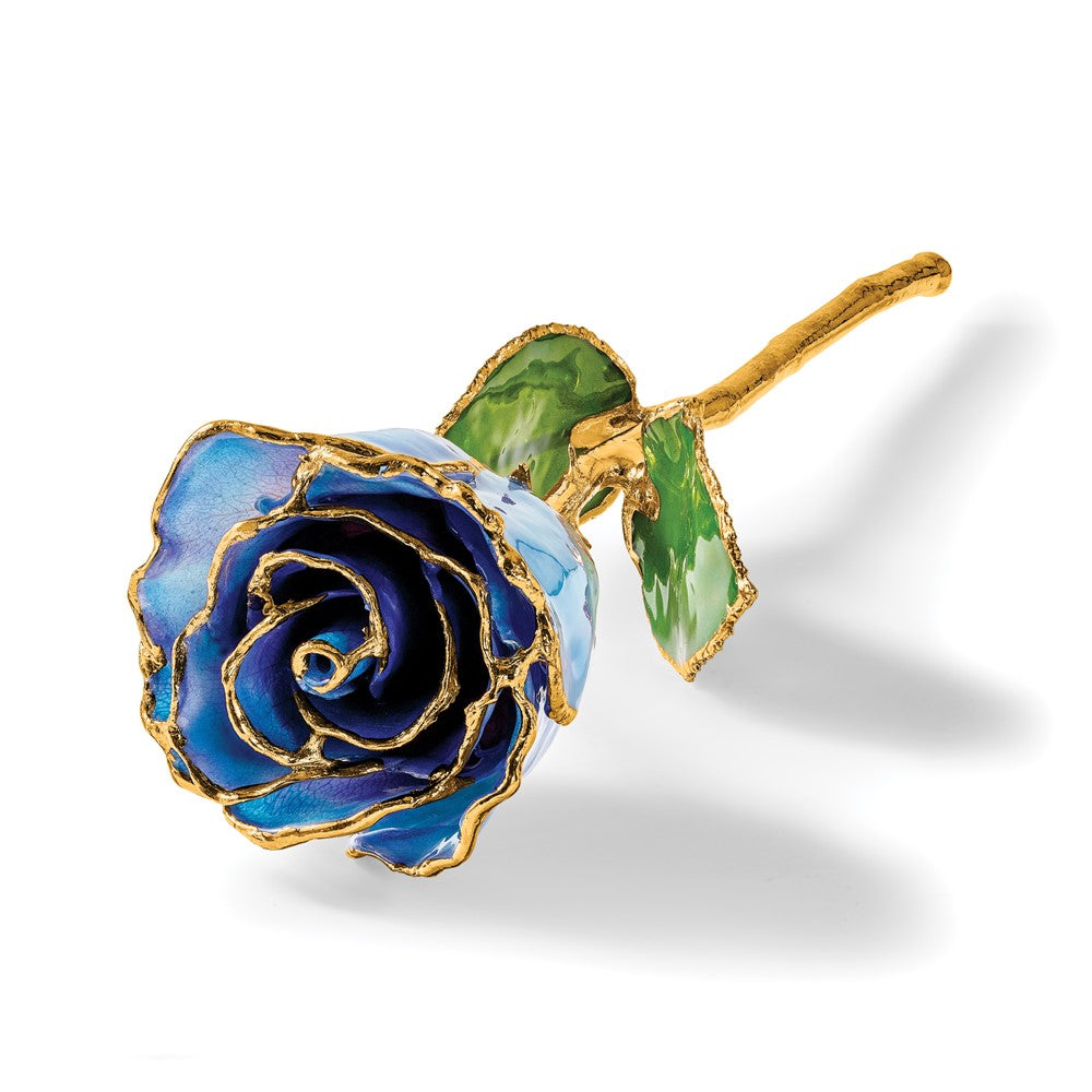 Lacquer Dipped Gold Trim December Birthstone Tanzanite Rose
