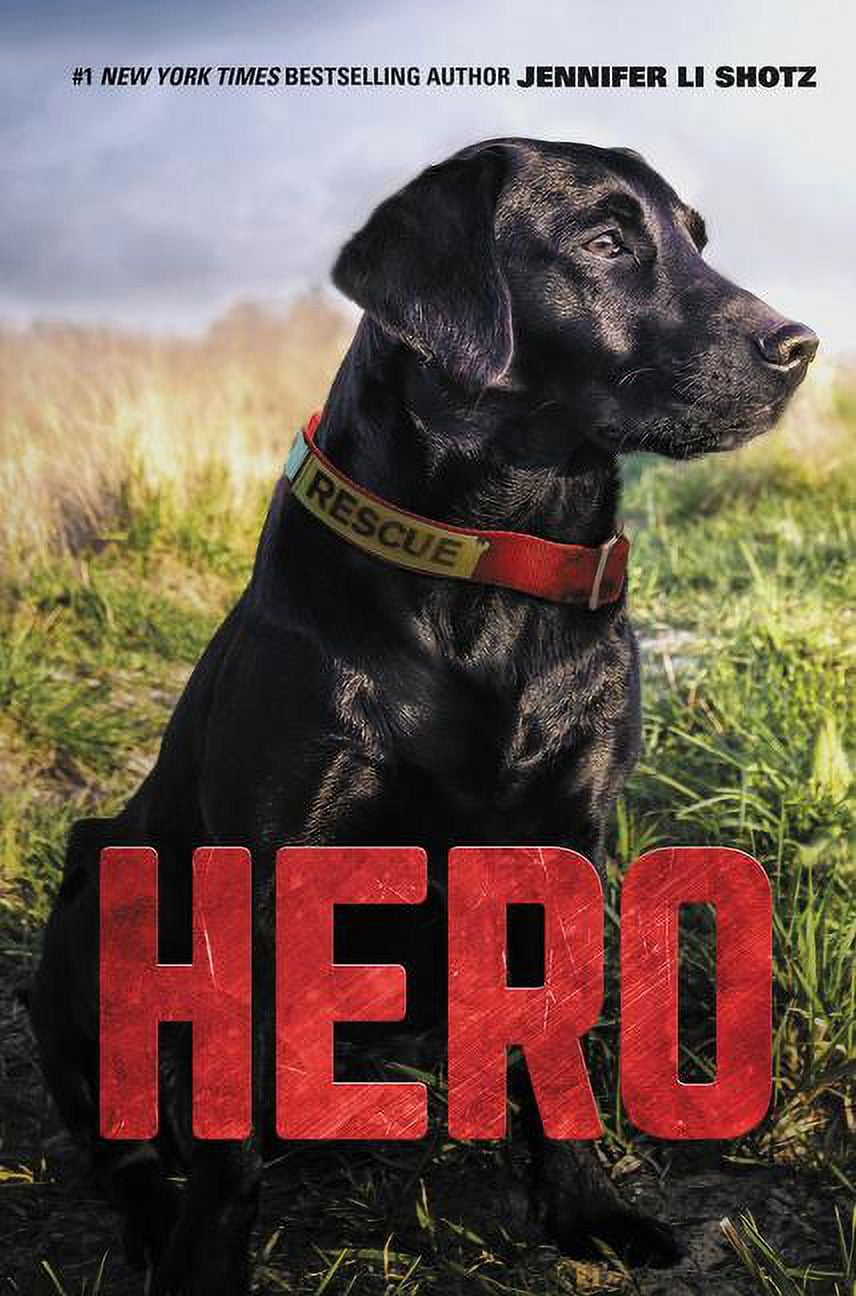 Hero Hero, Book 1, (Hardcover)