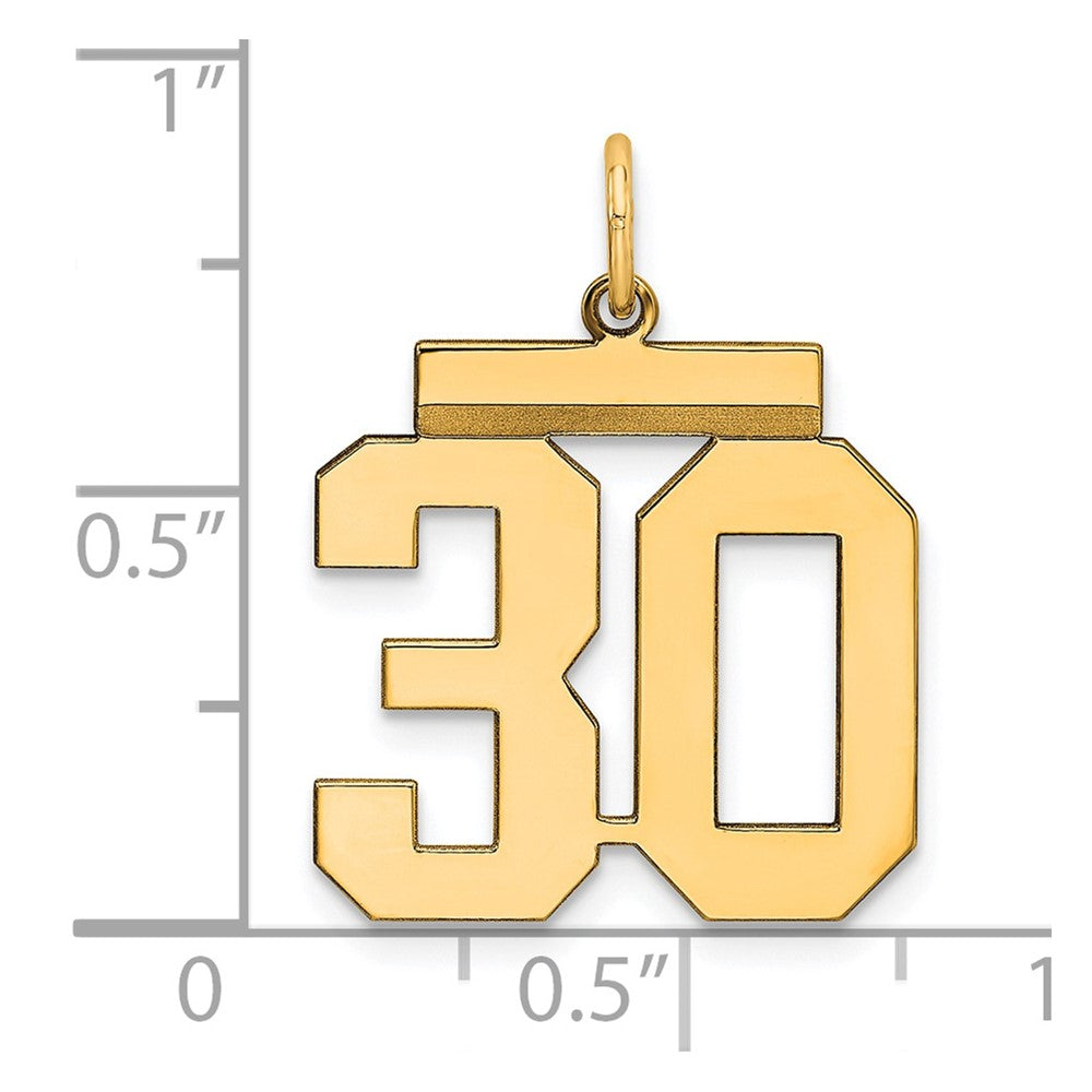 Sterling Silver Gold-plated Medium Polished Number 30 Charm
