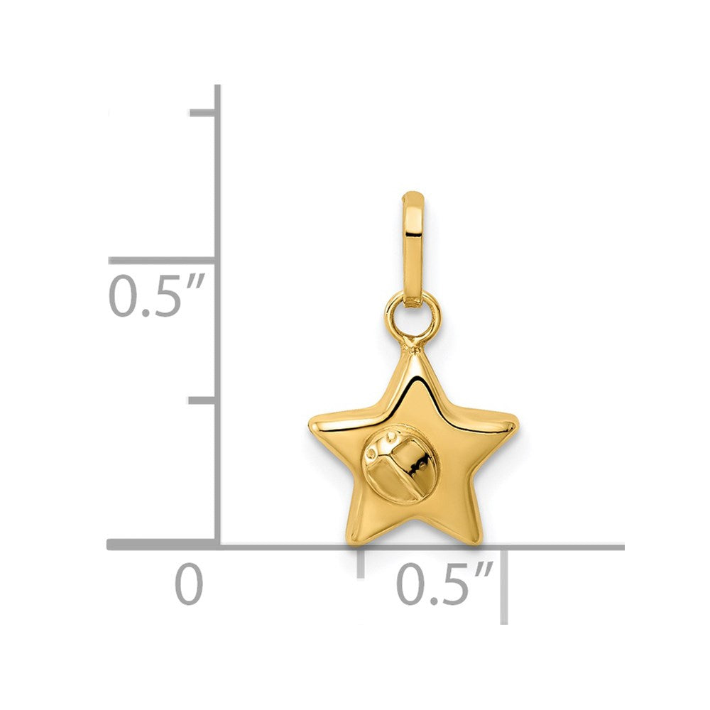14k Ladybug on a Star Charm