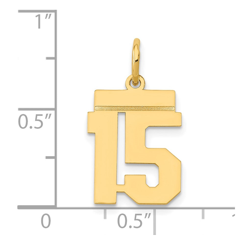 14k Small Polished Number 15 Charm