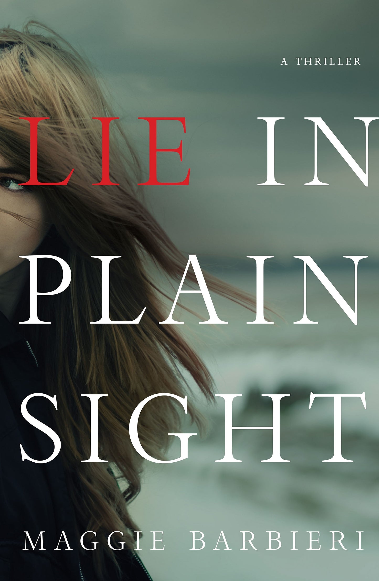 Lie in Plain Sight : A Thriller
