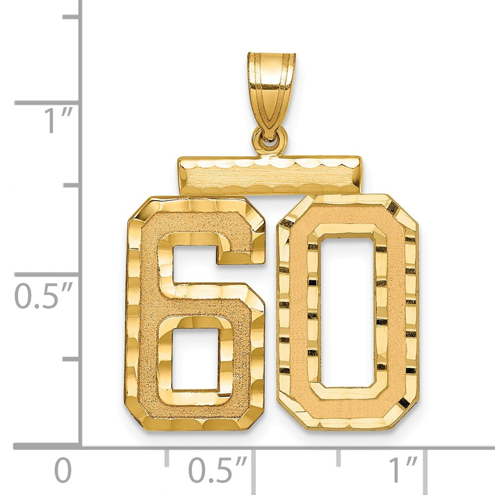 14k Large Brushed Diamond-cut Number 60 Charm
