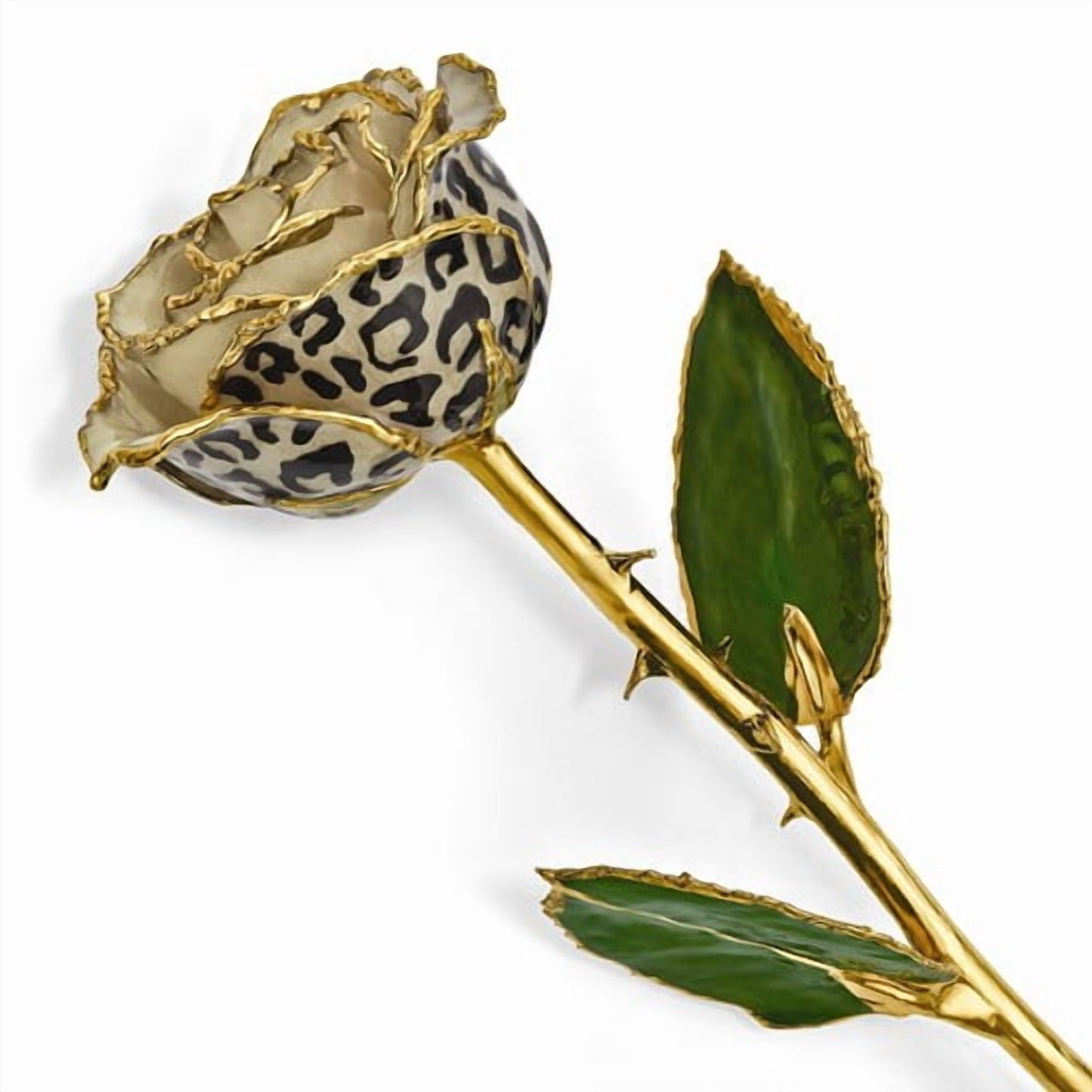 Lacquer Dipped 24k Gold Trim Cream/Black Leopard Rose