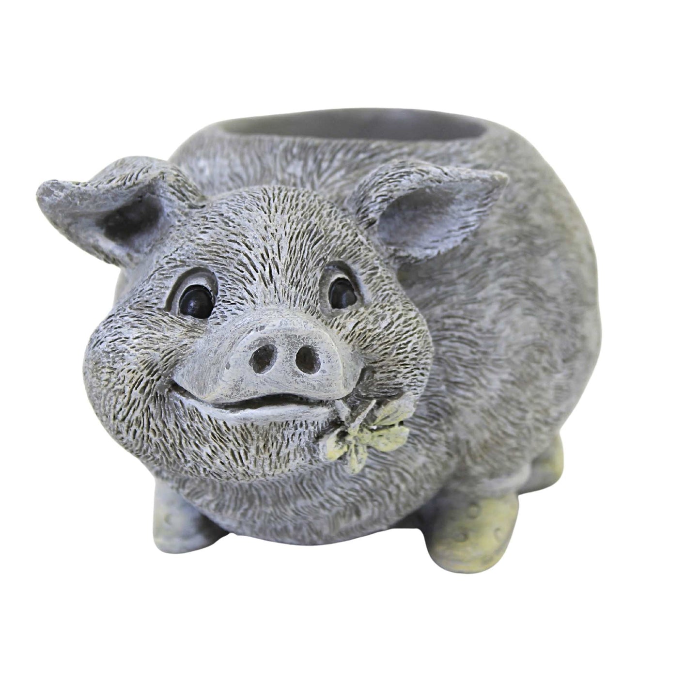 Home & Garden Mini Pig Pudgy Planter Patio Porch Spring Summer Plant 12515 .
