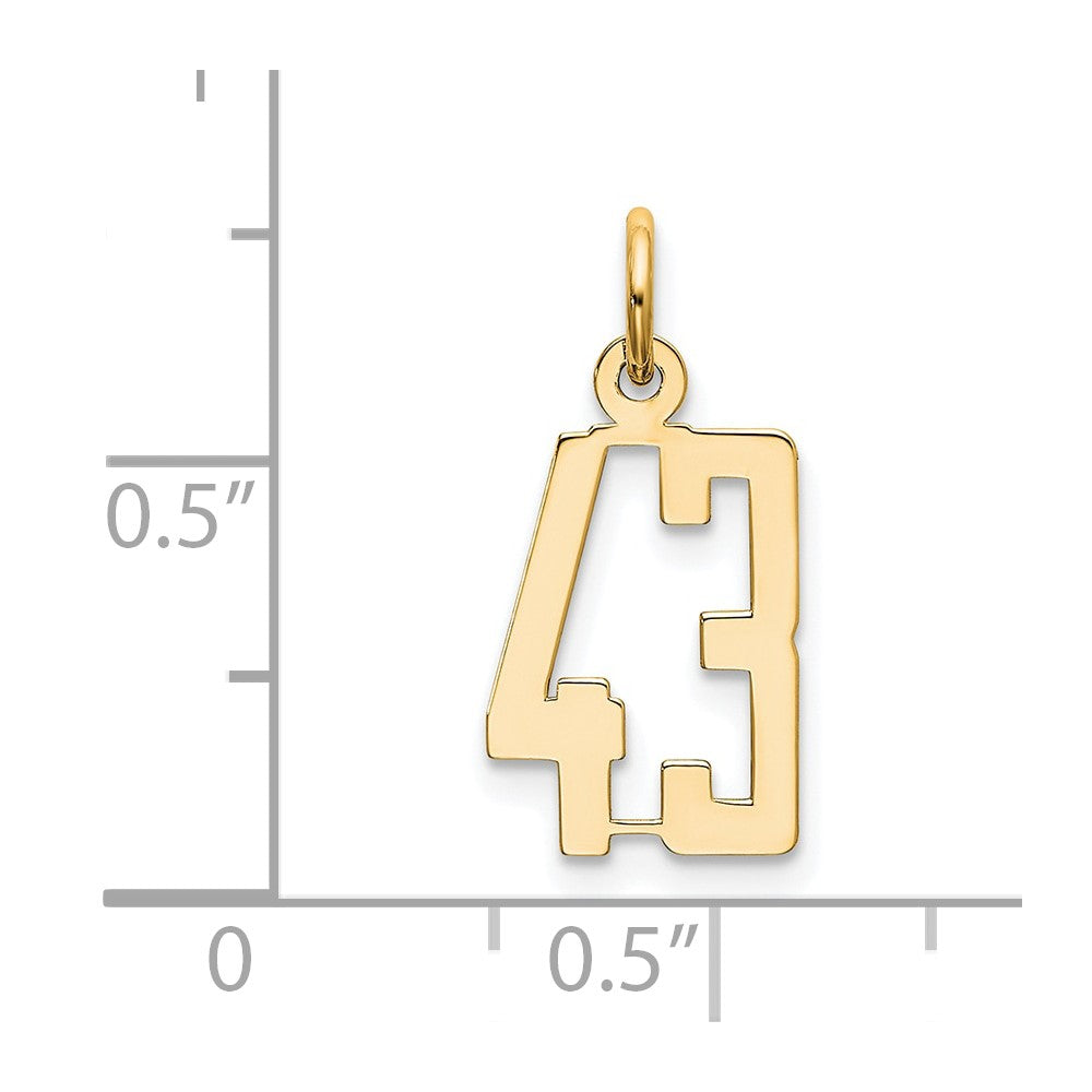 14k Small Elongated Number 43 Charm