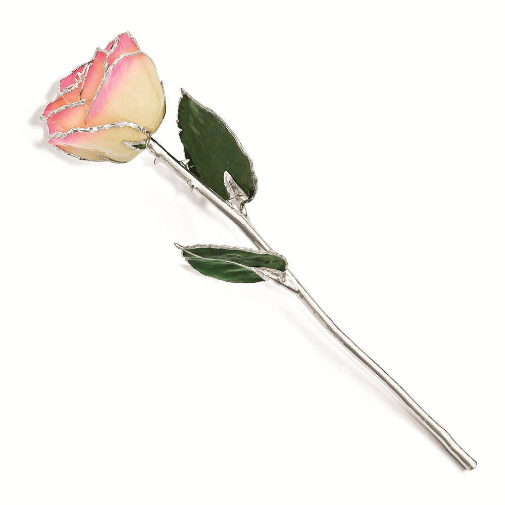 Lacquer Dipped Silver-plated Trimmed Green Leaf and White/ Pink Rose