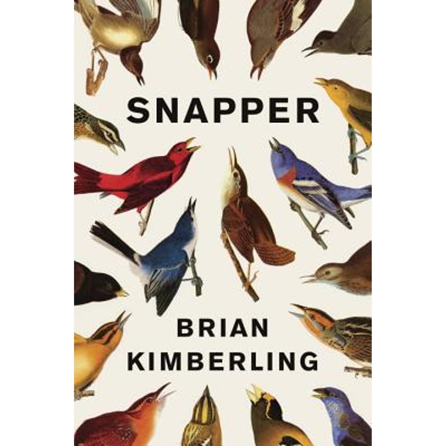 Snapper (Hardcover) by Brian Kimberling