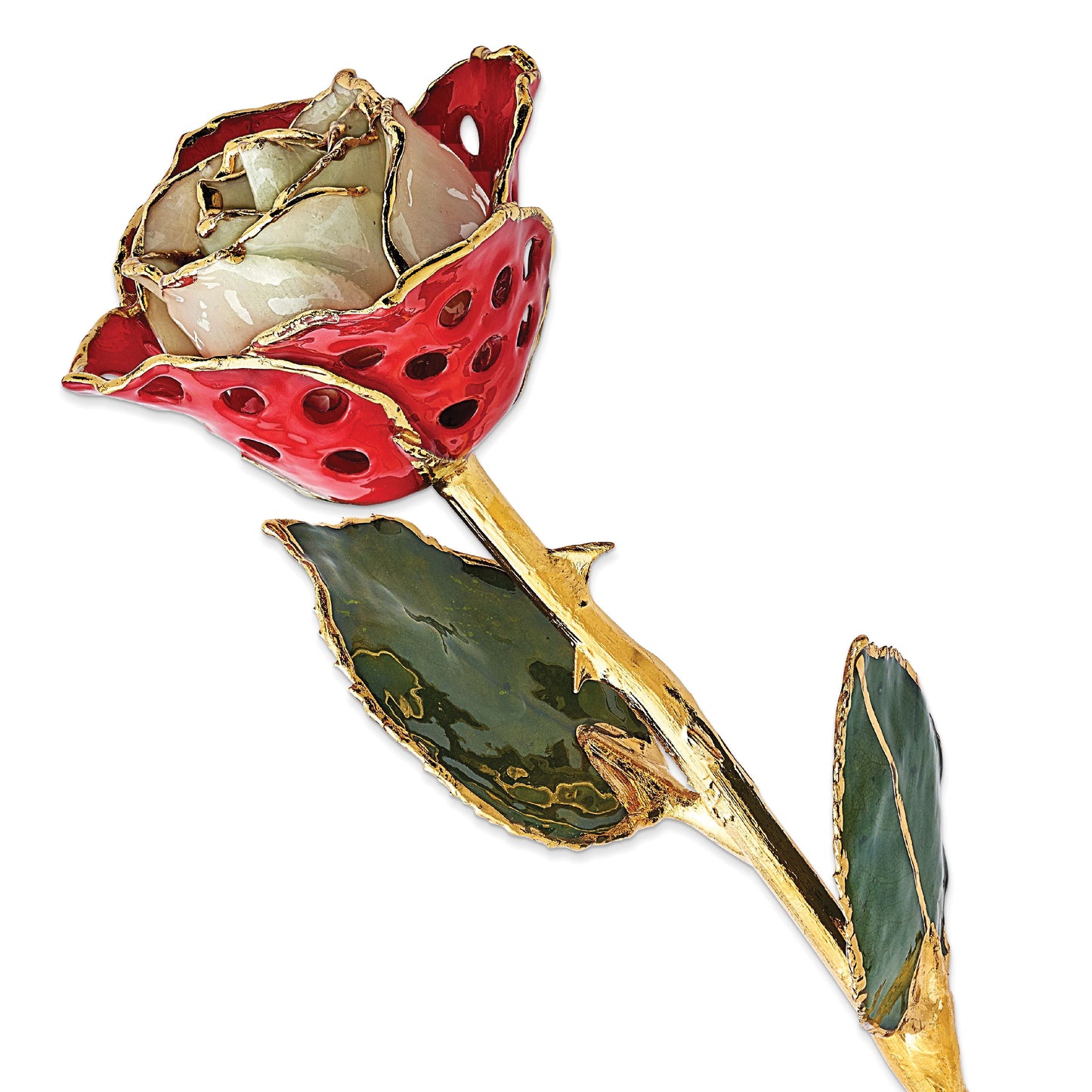 24k Gold Plated Trim White Red with Holes Rose