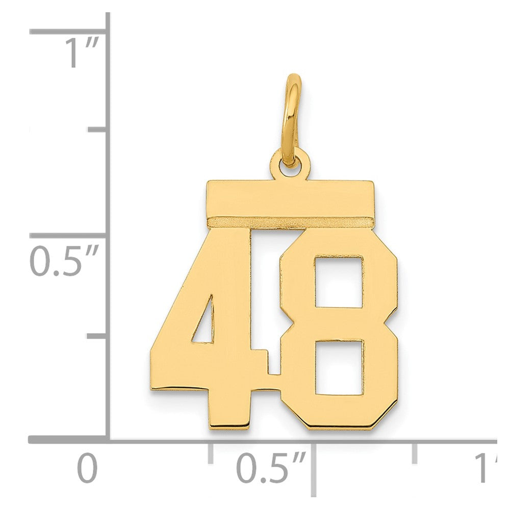 14k Small Polished Number 48 Charm