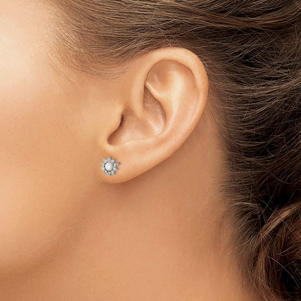 Stainless Steel Polished Mother of Pearl and CZ Earrings