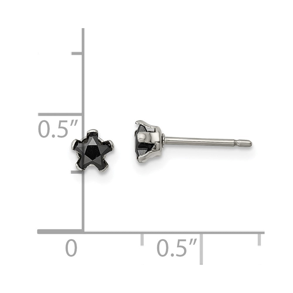 Stainless Steel Polished 4mm Black Star CZ Stud Post Earrings