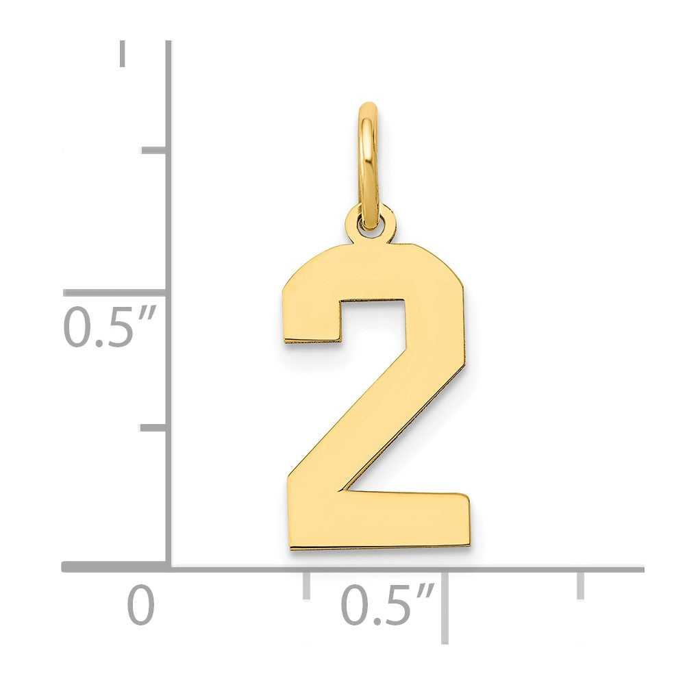 14k Medium Polished Number 2 Charm