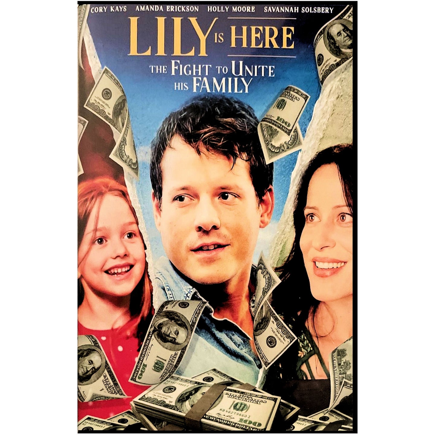 LILY IS HERE DVD WS