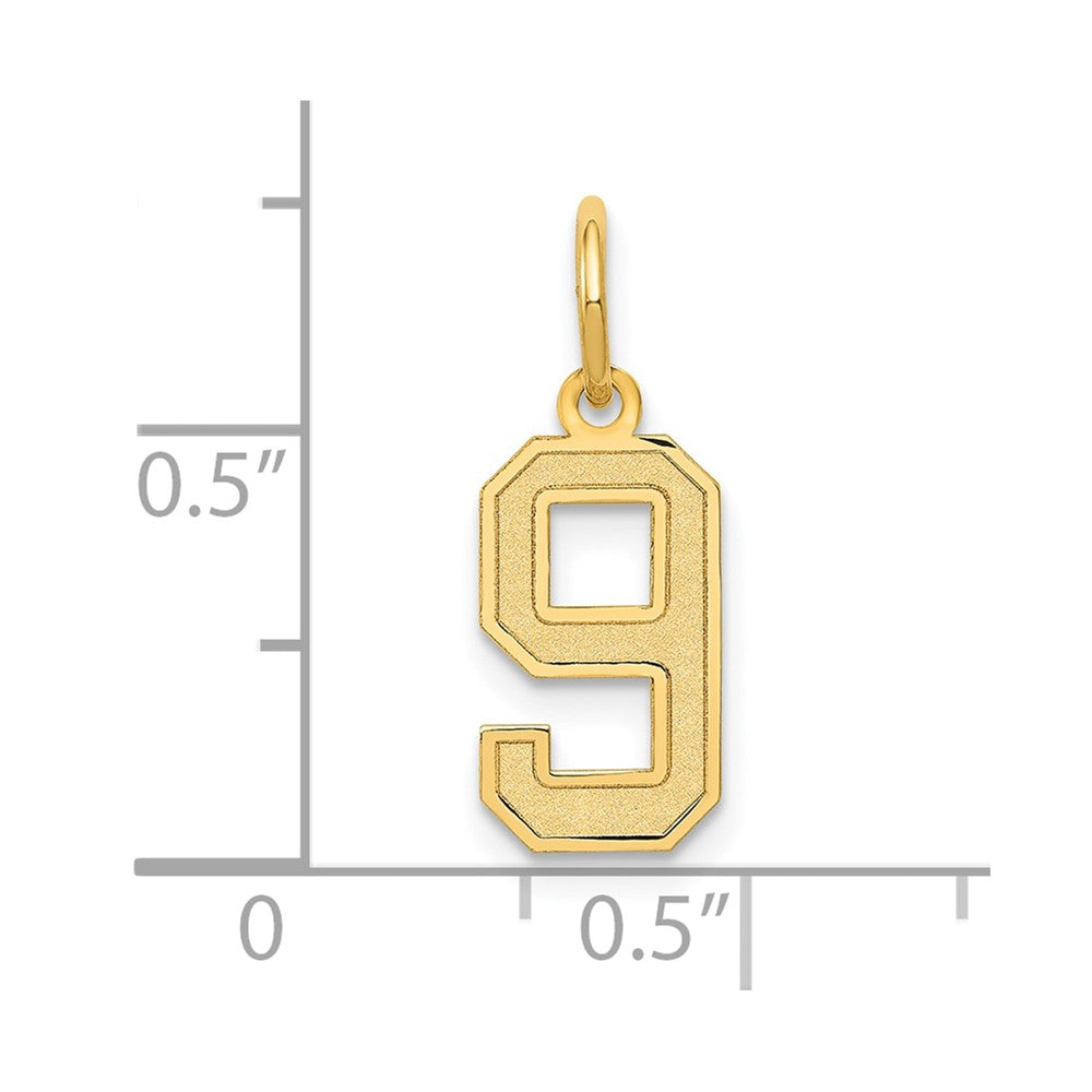 14k Small Satin Number 9 Charm