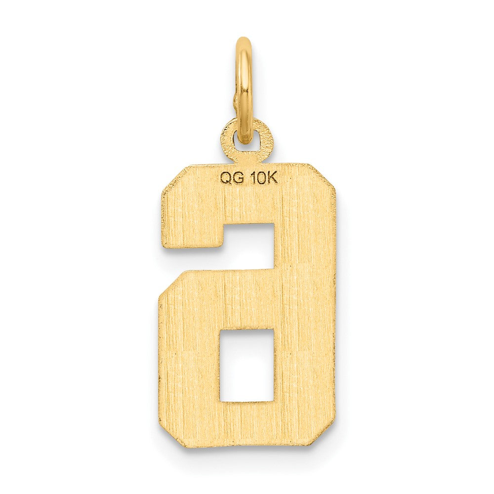10ky Casted Medium Diamond-cut Number 6 Charm