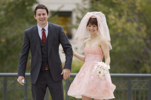 The Vow (DVD Sony Pictures)