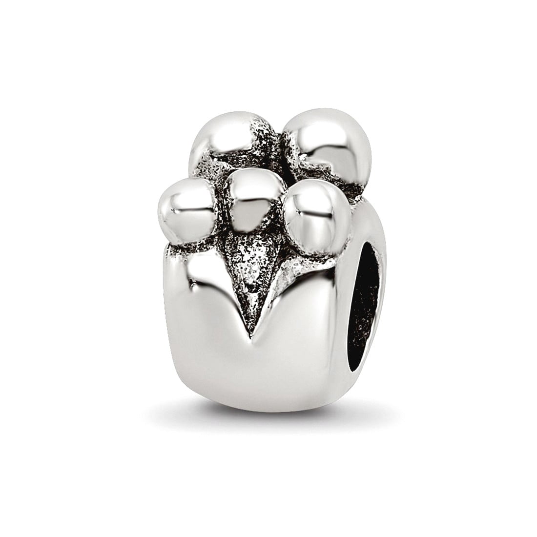 Sterling Silver Reflections Family of 5 Bead