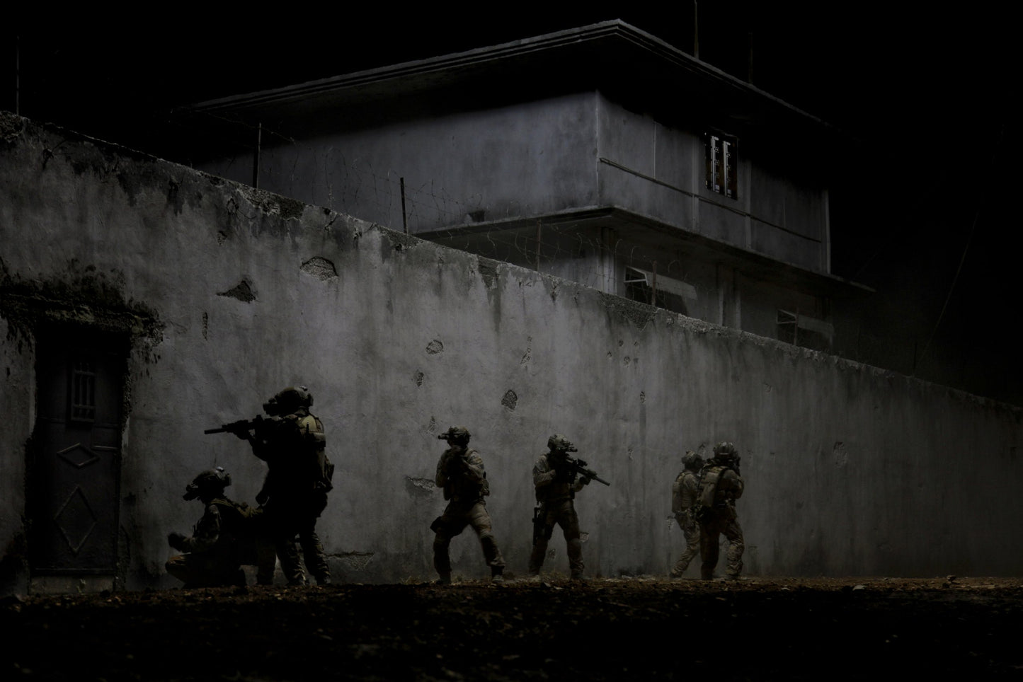Zero Dark Thirty (DVD)