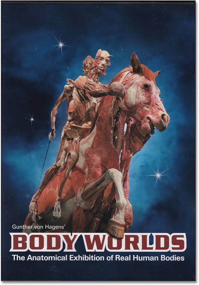 Body Worlds The Anatomical Exhibition of Real Human Bodies - DVD