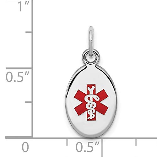 Sterling Silver Rhodium-plated Medical Jewelry Charm