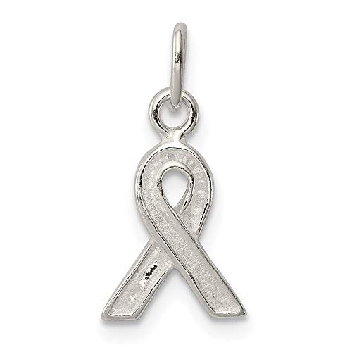 Sterling Silver Polished Awareness Charm