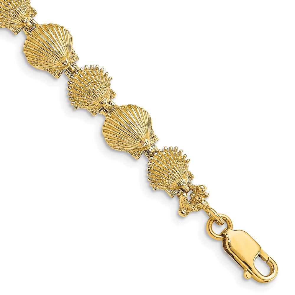 14K Polished /Textured Scallop Shell Bracelet 7 inches