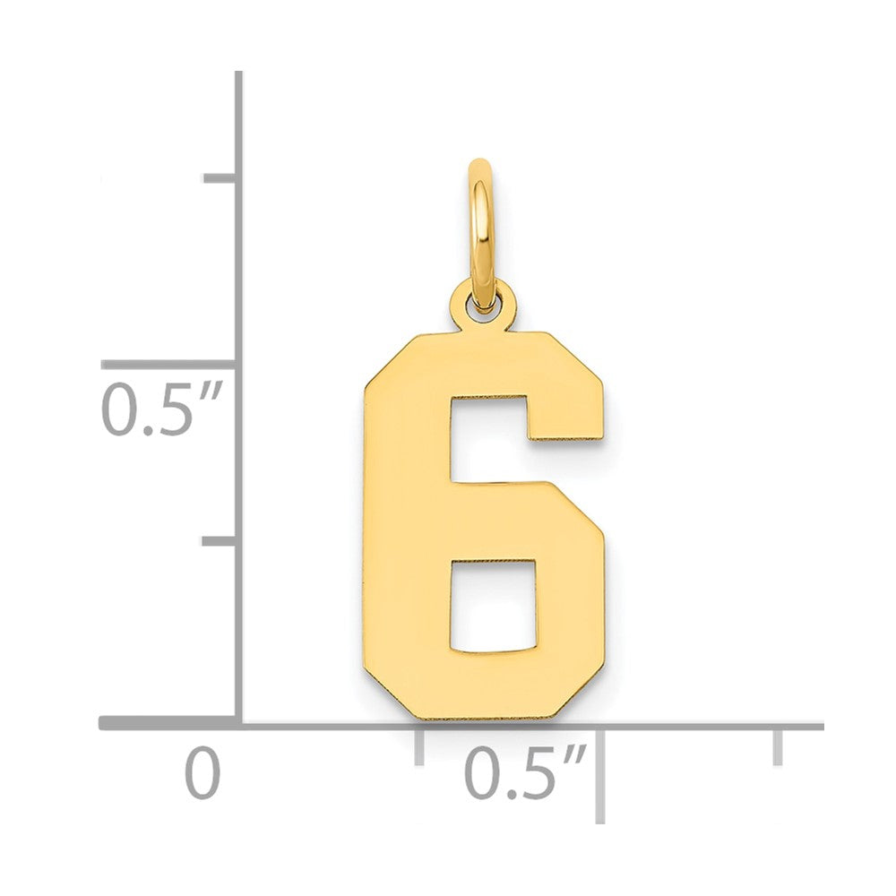 14k Medium Polished Number 6 Charm