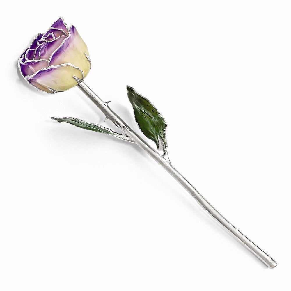 White/Blue Opal Lacquer Dipped Silver Trimmed Real Rose QGM16751