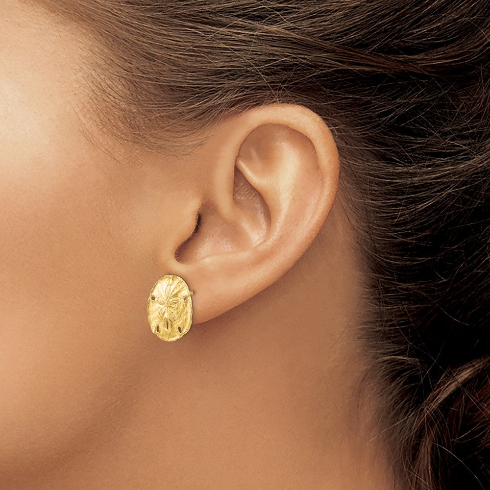 10k Large Sanddollar Post Earrings