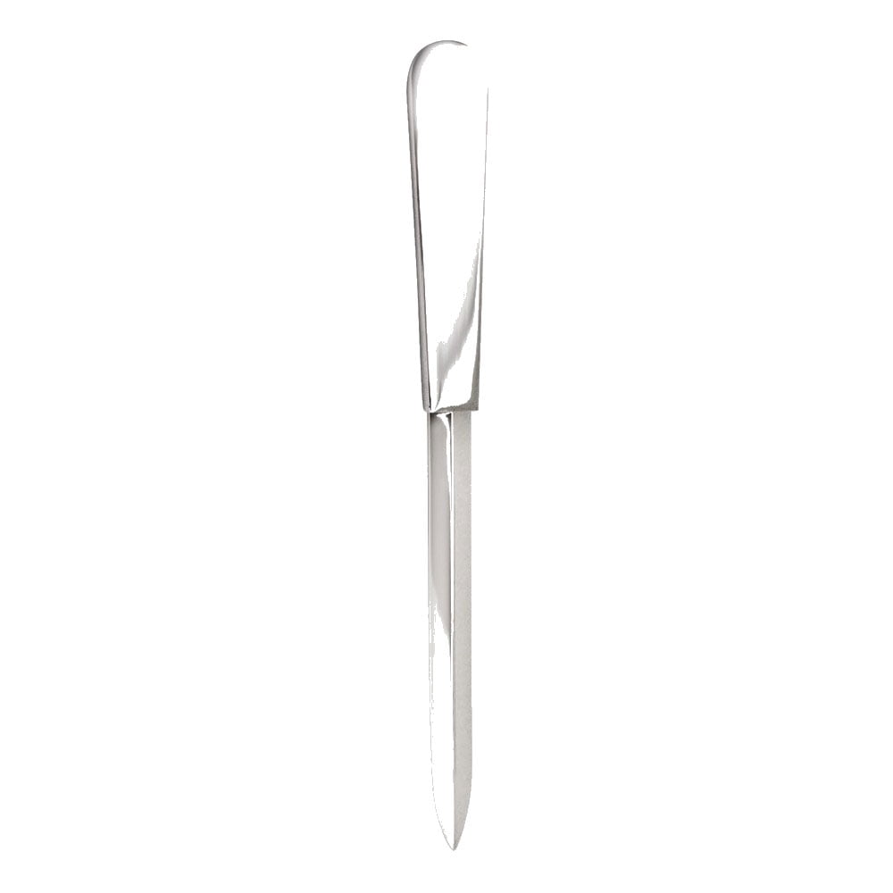 Silver-tone Letter Opener QGM12304