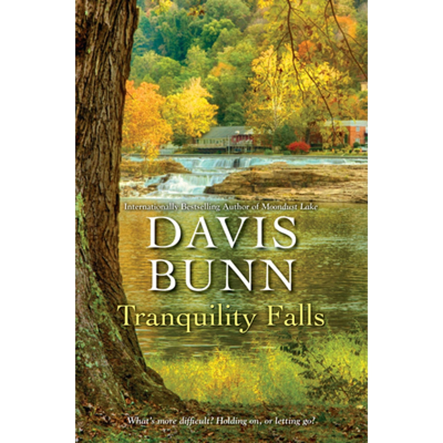 Tranquility Falls (Hardcover) by Davis Bunn