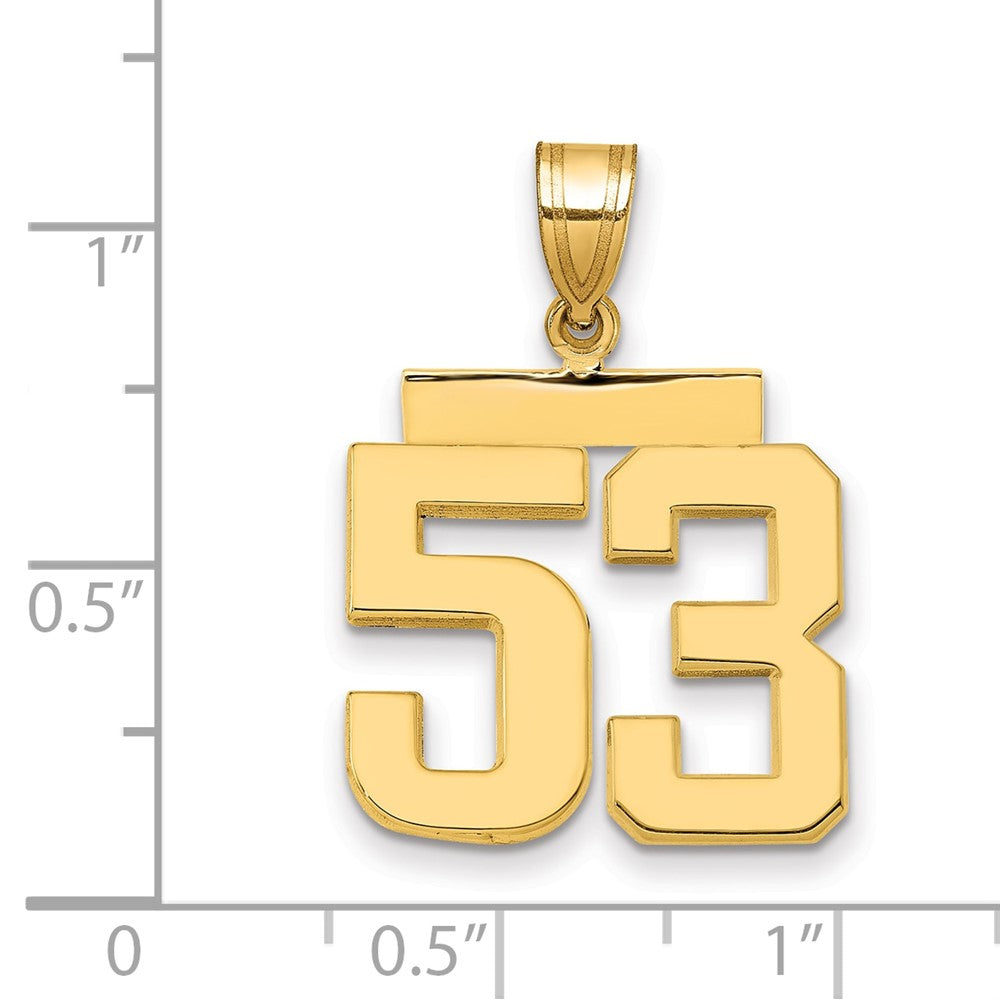 14k Medium Polished Number 53 Charm