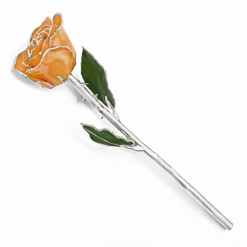 Lacquer Dipped Silver Trim Orange Rose