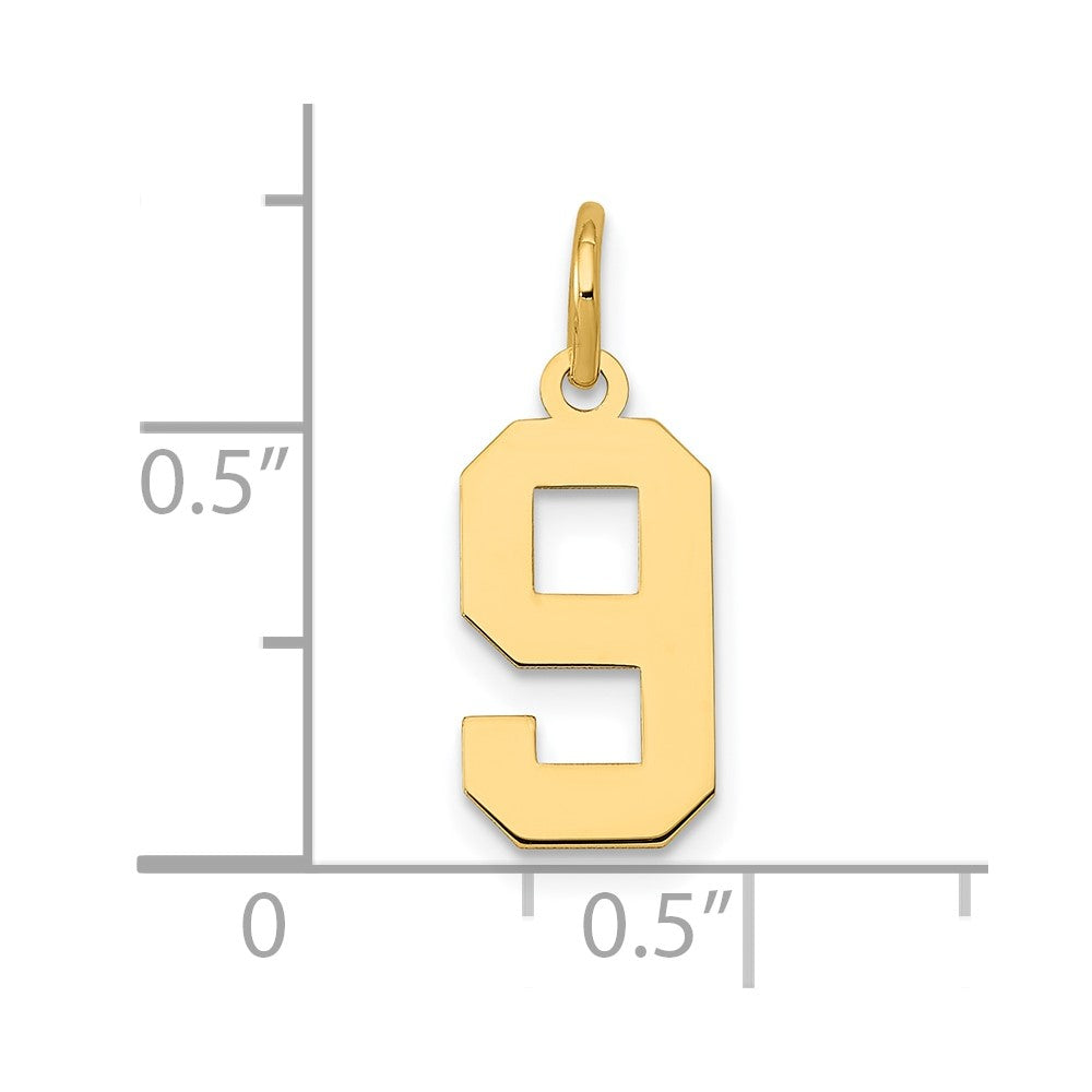 14k Small Polished Number 9 Charm