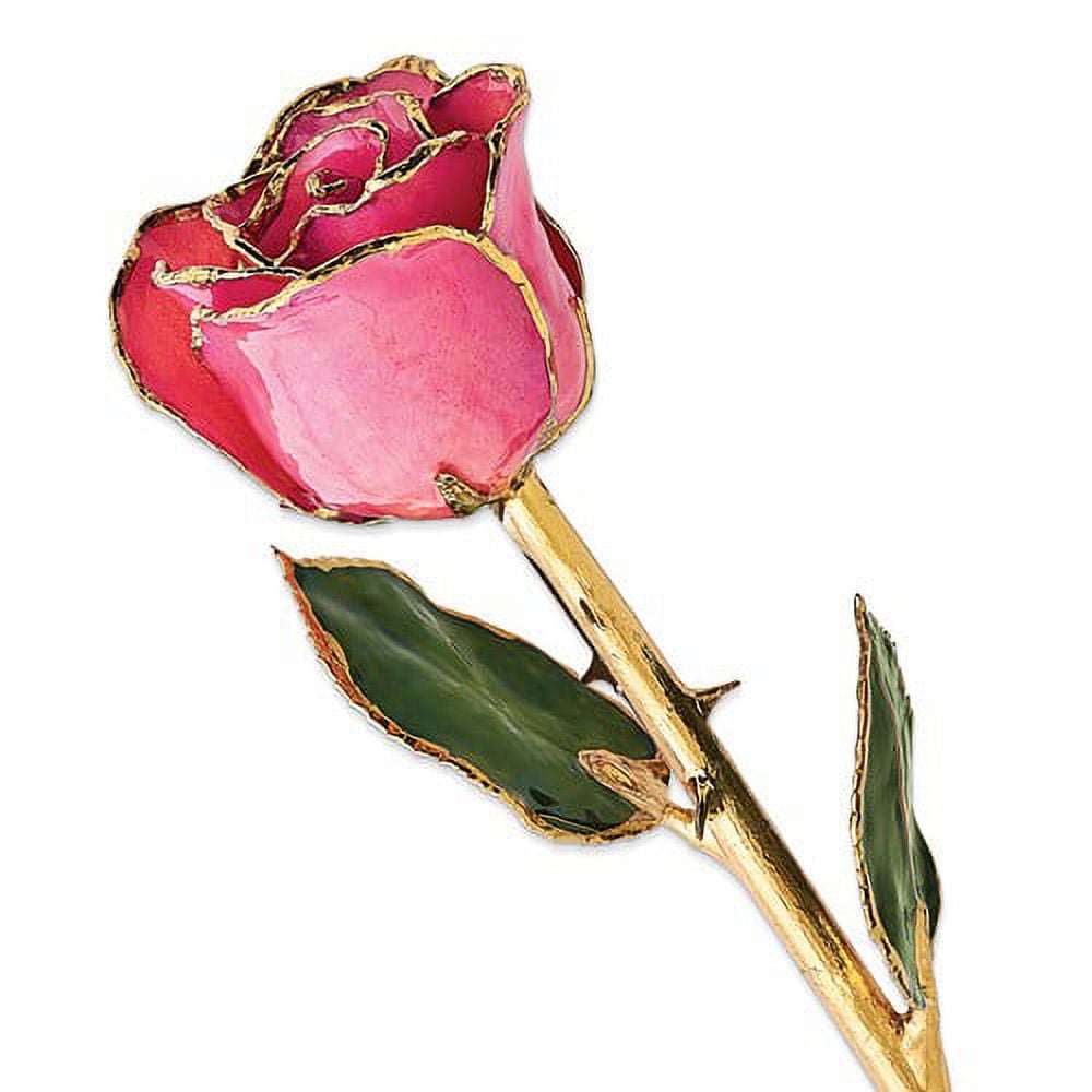 24k Gold Plated Trim Plum Fuchsia Rose
