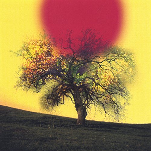 Deeper the Roots