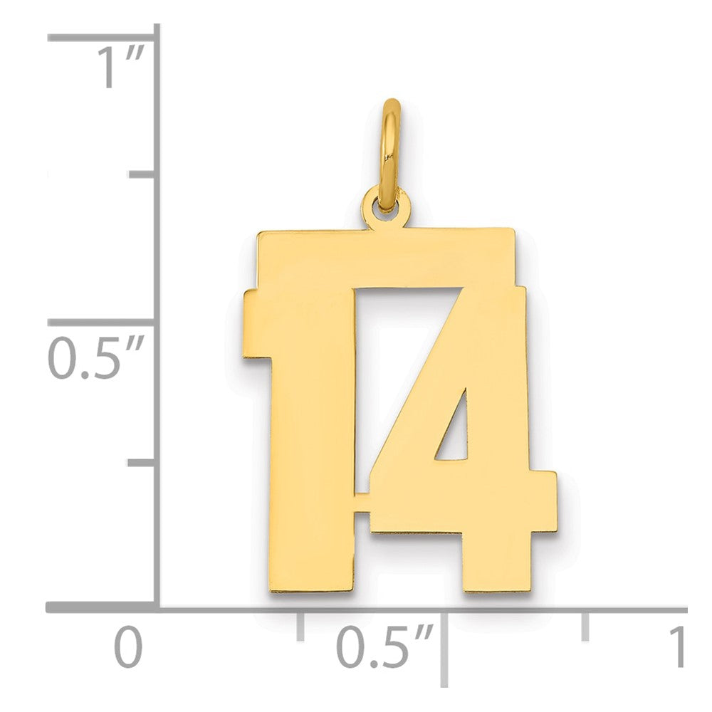 14k Medium Polished Number 14 Charm