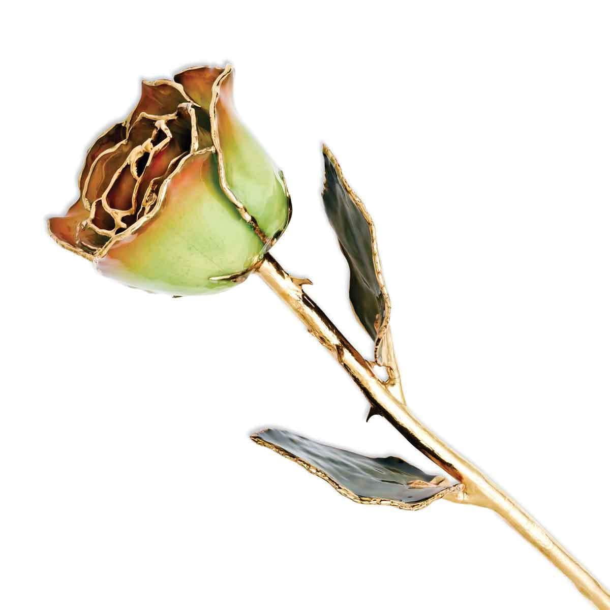 Lacquer Dipped Gold Trimmedmed Peridot/Orange Real Rose QGM8320