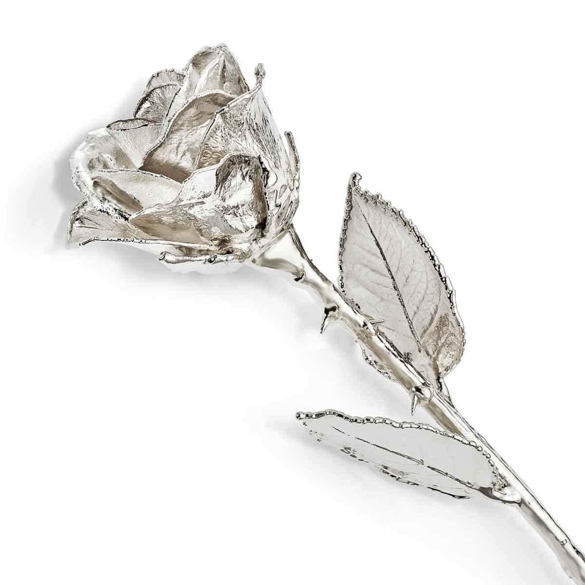 Silver-plated Lacquered Finish Natural Dipped Rose