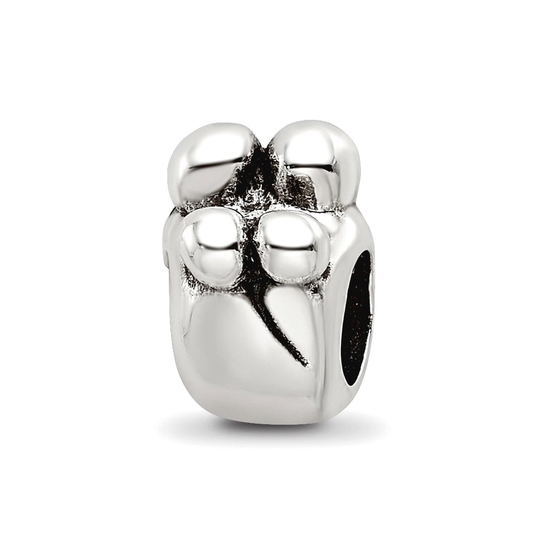 Sterling Silver Reflections Family of 4 Bead