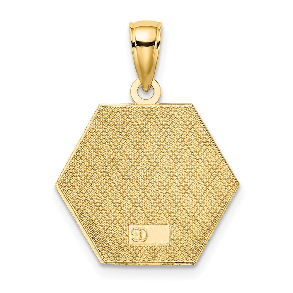 10k Enameled Medical Disc Pendant