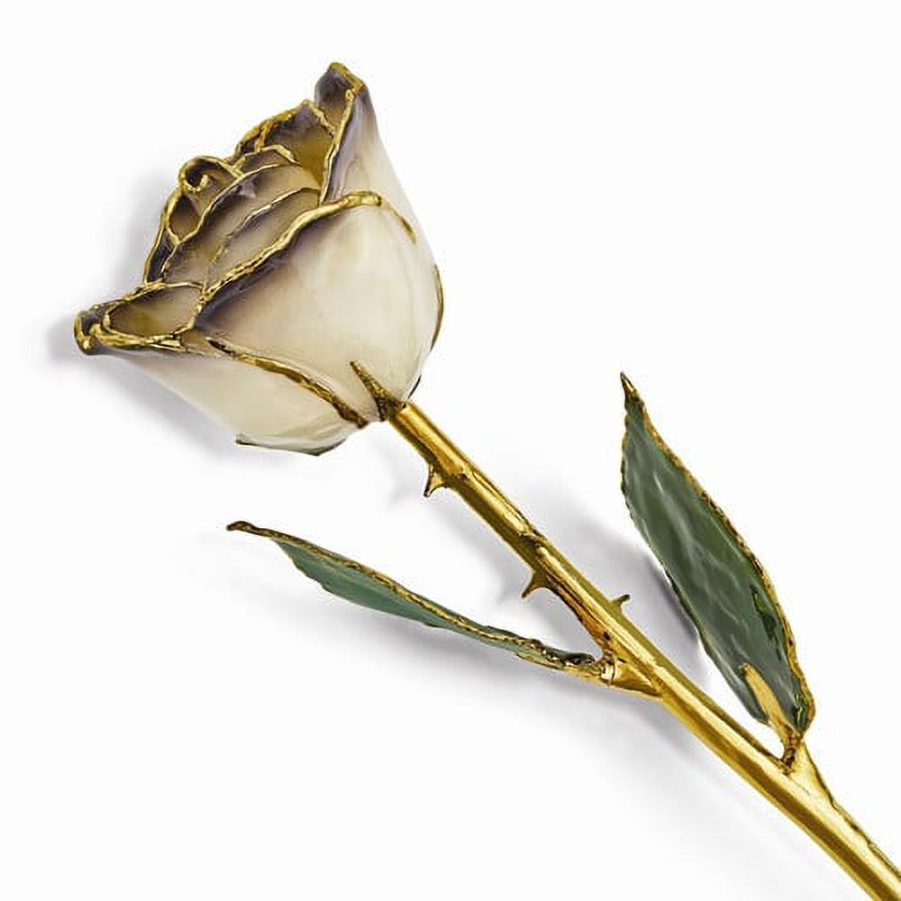 Lacquer Dipped 24k Gold Trim White/Twilight Pearl Rose