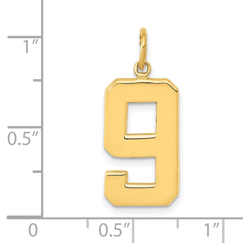 14k Large Polished Number 9 Charm