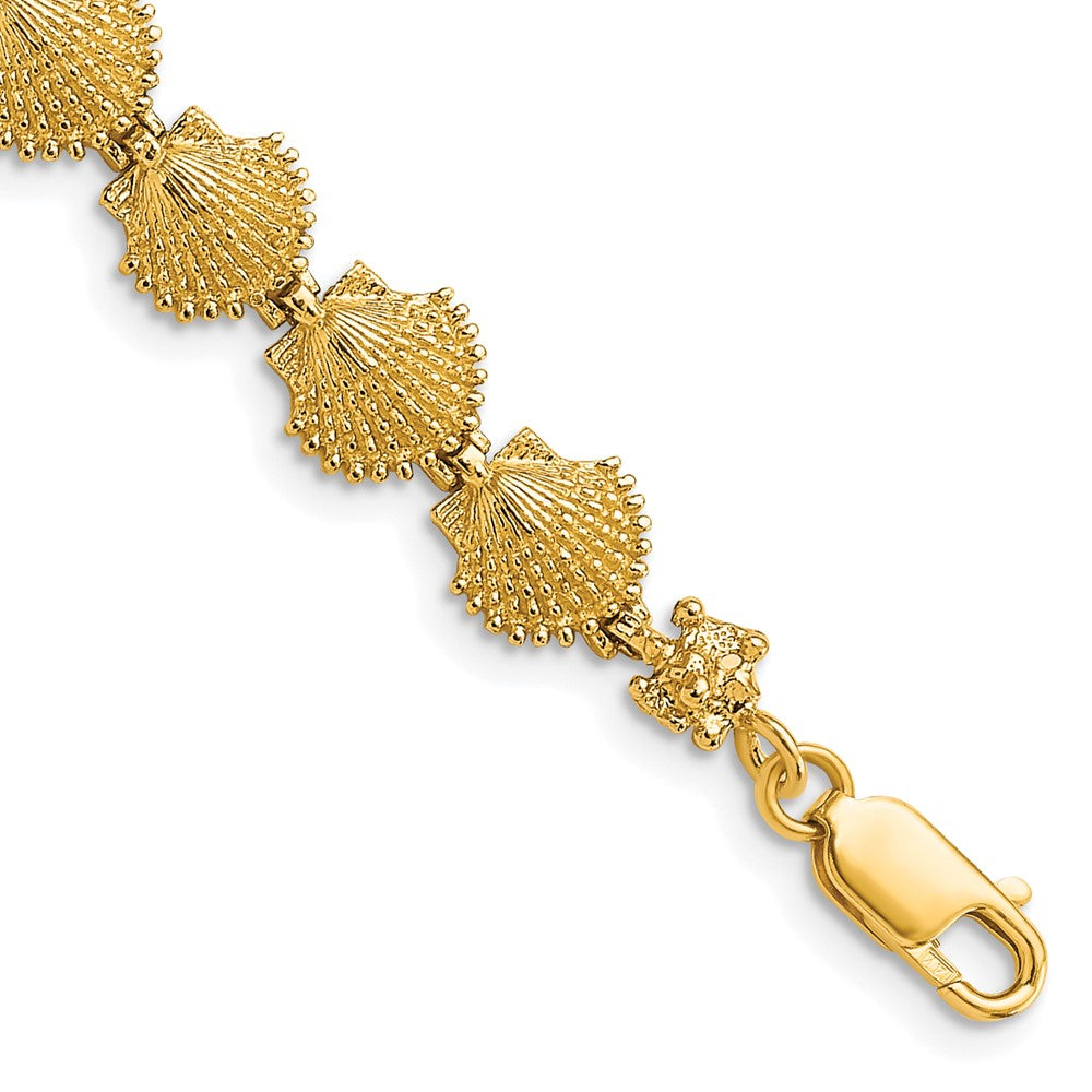 14k Scallop Shell Bracelet 7 inches