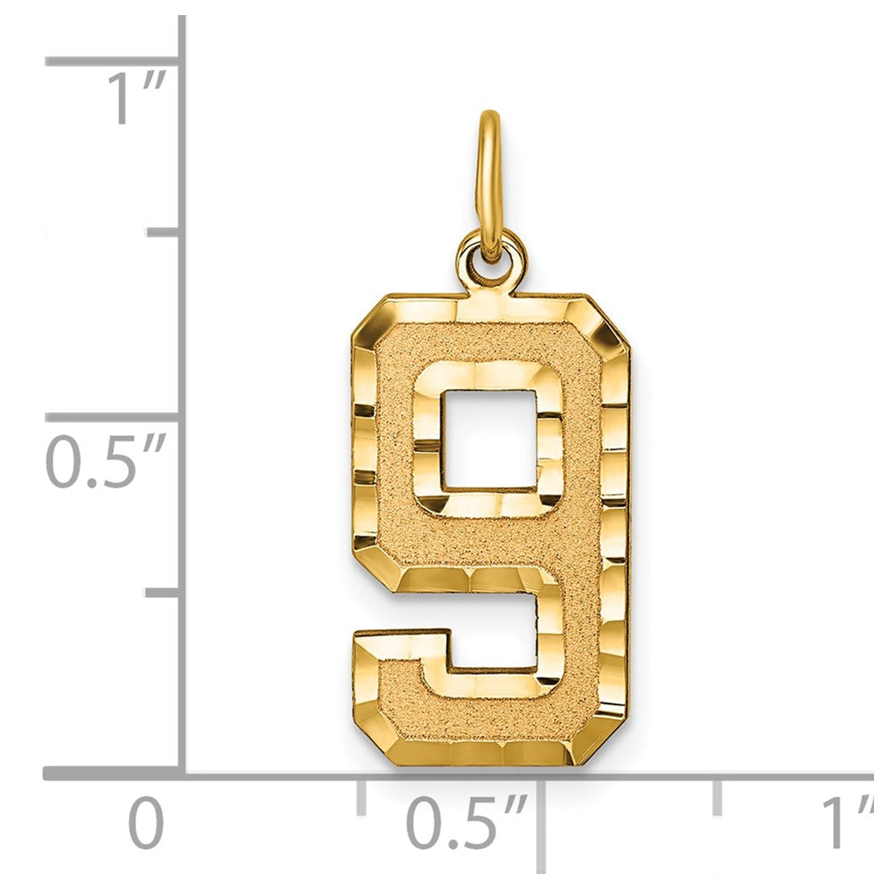 14k Large Brushed Diamond-cut Number 9 Charm
