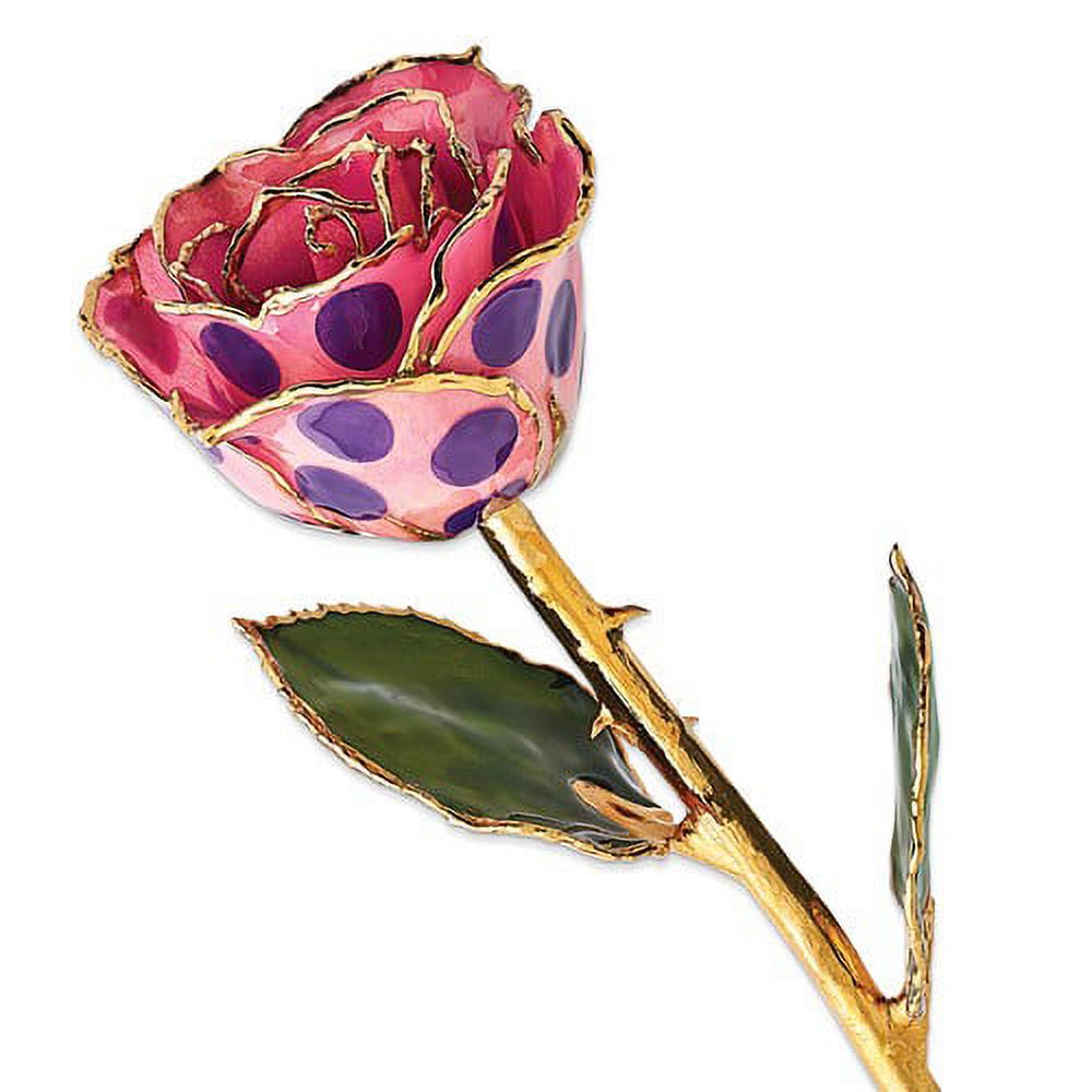 24k Gold Plated Trim Pink and Purple Dots Rose