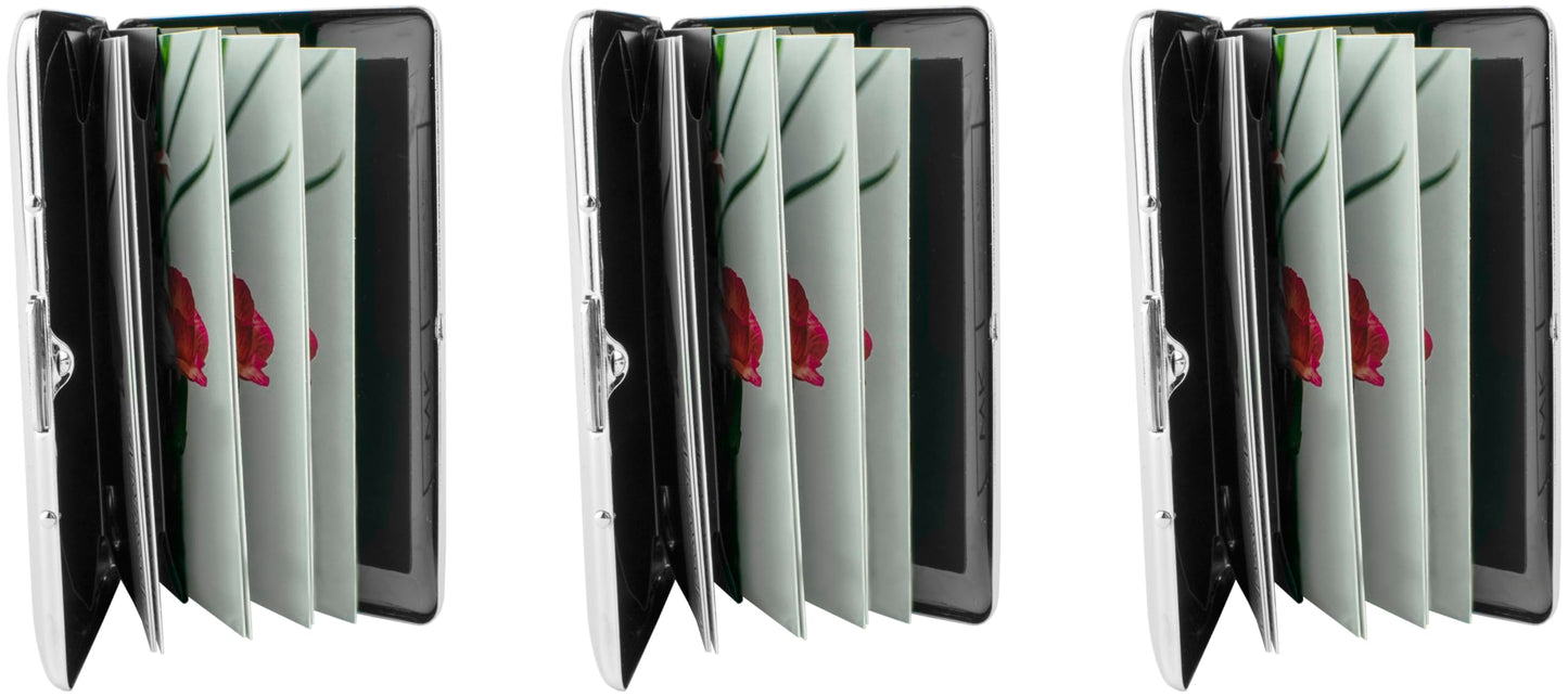Set of 3 Chrome-Plated Credit Card Holders with Accordion Dividers (Victorian Print)