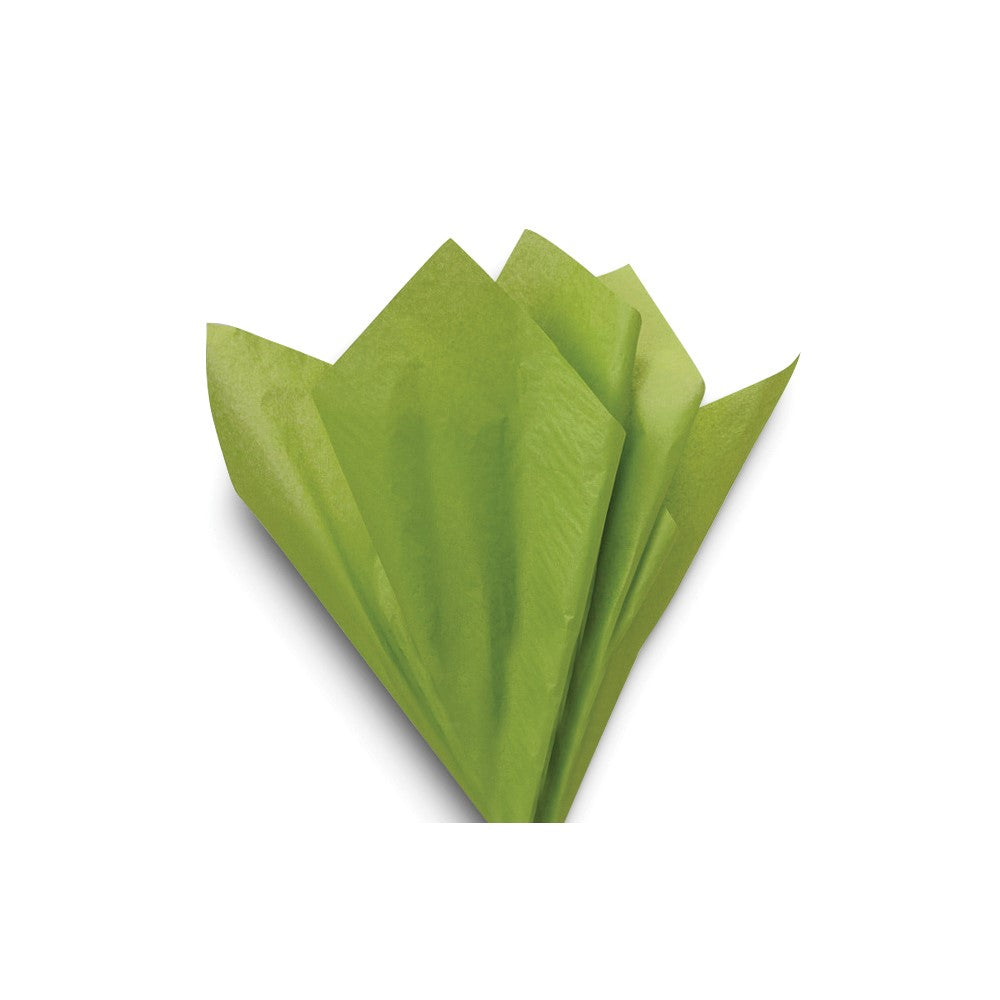 Floral Bouquet 6 Paper Bags and 20 Sheets Tissue Paper Set