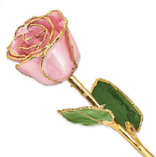 Lacquer Dipped Roses